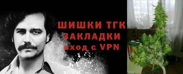 МДПВ Володарск