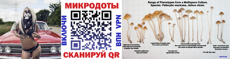 цена   Георгиевск  Псилоцибиновые грибы Psilocybine cubensis 